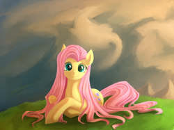 Size: 869x650 | Tagged: safe, artist:aurarrius, fluttershy, pony, g4, female, solo