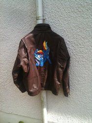 Size: 900x1200 | Tagged: safe, rainbow dash, g4, clothes, irl, jacket, photo, toy