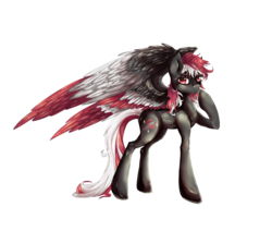 Size: 1280x1083 | Tagged: safe, artist:chocori, oc, oc only, oc:scarlet sky, pegasus, pony, black body, black coat, black fur, black pony, black wings, female, female oc, looking at you, mare, mare oc, pegasus oc, pony oc, raised hoof, red eyes, red hair, red mane, red tail, red wings, simple background, solo, tail, three toned wings, transparent background, two toned hair, two toned mane, two toned tail, white hair, white mane, white tail, white wings, wings