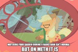 Size: 959x642 | Tagged: safe, edit, edited screencap, screencap, applejack, earth pony, pony, g4, look before you sleep, season 1, caption, female, golden oaks library, hose, image macro, meth, mud, public service announcement, rain, solo, text, tree