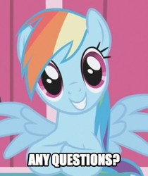 Size: 343x408 | Tagged: safe, edit, edited screencap, screencap, rainbow dash, pony, applebuck season, g4, caption, female, smiling, solo