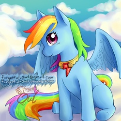 Size: 800x800 | Tagged: dead source, safe, artist:forgetful-owl, rainbow dash, pony, g4, elements of harmony, female, solo