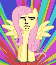 Size: 288x338 | Tagged: safe, edit, fluttershy, g4, yaranaika