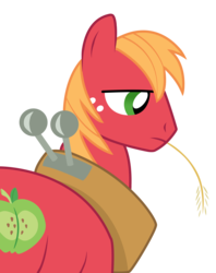 Size: 2729x3445 | Tagged: safe, artist:geekywebman, artist:noirpony, big macintosh, earth pony, pony, g4, high res, male, simple background, stallion, transparent background, vector