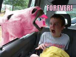 Size: 430x322 | Tagged: safe, pinkie pie, horse, human, pony, g4, caption, forever, irl, irl horse, nightmare fuel, open mouth, photo, ponies in real life, wat, wide eyes