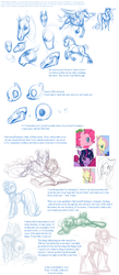 Size: 789x1803 | Tagged: safe, artist:noel, pony, drawing tutorial, how to draw