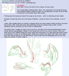 Size: 963x1064 | Tagged: safe, artist:noel, /co/, 4chan, 4chan screencap, how to draw, no pony, text, wings