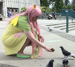 Size: 383x342 | Tagged: safe, artist:glamourkat, fluttershy, human, g4, animators, cosplay, irl, irl human, photo