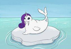 Size: 1280x881 | Tagged: safe, artist:ratscribbles, rarity, walrus, g4, :3, female, horn, ice, smiling, solo, species swap, water