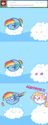 Size: 645x1677 | Tagged: safe, artist:pekou, rainbow dash, surprise, ask my little chubbies, g1, g4, ask, chubbie, cloud, comic, tumblr