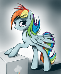 Size: 1021x1227 | Tagged: safe, artist:fajeh, rainbow dash, pegasus, pony, g4, female, leaning, leaning forward, looking at you, mare, solo