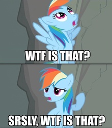 Size: 844x960 | Tagged: safe, rainbow dash, pegasus, pony, g4, female, flying, image macro, mare, open mouth, pointing, reaction image, solo, wtf