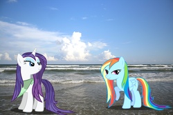 Size: 3456x2304 | Tagged: safe, artist:hachaosagent, rainbow dash, rarity, pony, g4, beach, high res, irl, photo, ponies in real life, vector, wet, wet mane, wet mane rarity