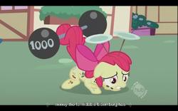 Size: 640x400 | Tagged: safe, screencap, apple bloom, g4, the cutie pox, hub logo, implied bloomberg, youtube caption