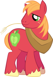 Size: 2683x3932 | Tagged: safe, artist:shelltoon, big macintosh, earth pony, pony, g4, high res, male, simple background, stallion, transparent background, vector