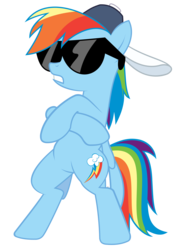 Size: 2980x4213 | Tagged: safe, artist:erockertorres, rainbow dash, pegasus, pony, g4, may the best pet win, backwards ballcap, baseball cap, bipedal, cap, crossed arms, female, hat, mare, simple background, solo, sunglasses, transparent background, vector