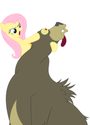Size: 2700x3780 | Tagged: safe, artist:erockertorres, fluttershy, harry, bear, pony, g4, lesson zero, season 2, duo, female, high res, male, mare, simple background, tongue out, transparent background, vector