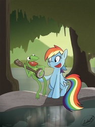 Size: 900x1200 | Tagged: dead source, safe, artist:adamrbi, rainbow dash, amphibian, frog, pegasus, pony, g4, banjo, crossover, duo, kermit the frog, male, musical instrument, rainbow connection, the muppets