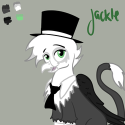 Size: 777x777 | Tagged: safe, artist:jackleapp, oc, oc only, oc:jackleapp, griffon, griffonsona, reference sheet, self portrait, solo