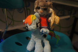 Size: 900x599 | Tagged: safe, artist:jessikitt-e, rainbow dash, g4, dipper pines, gravity falls, irl, male, photo, plushie