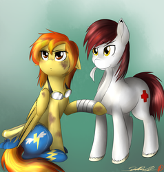 Size: 1280x1345 | Tagged: safe, artist:spittfireart, spitfire, oc, pony, g4, bandage, duo