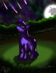 Size: 2975x3850 | Tagged: safe, artist:afl316, twilight sparkle, pony, g4, female, high res, solo