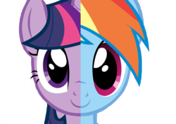 Size: 701x497 | Tagged: safe, rainbow dash, twilight sparkle, g4, simple background, transparent background, vector