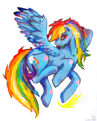 Size: 600x748 | Tagged: safe, artist:qualia-matsuri, rainbow dash, pegasus, pony, g4, female, solo