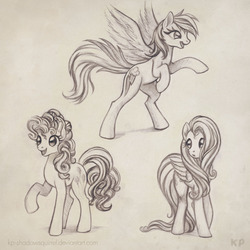 Size: 1000x1000 | Tagged: safe, artist:kp-shadowsquirrel, fluttershy, pinkie pie, rainbow dash, g4, monochrome, sketch dump, trio