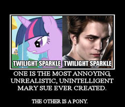 Size: 518x443 | Tagged: safe, twilight sparkle, g4, bait and switch, demotivational poster, edward cullen, meme, namesake, plot twist, twilight (series)