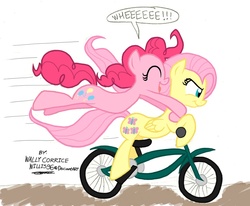 Size: 1155x953 | Tagged: safe, artist:walliscolours, fluttershy, pinkie pie, earth pony, pegasus, pony, g4, bicycle, duo, female, mare, ride to conquer cancer