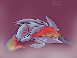 Size: 800x600 | Tagged: safe, artist:nos-talgia, rainbow dash, pony, g4, female, sleeping, solo