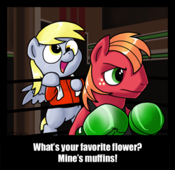 Size: 607x590 | Tagged: safe, artist:zicygomar, big macintosh, derpy hooves, earth pony, pegasus, pony, g4, boxing, boxing gloves, crossover, cute, derpabetes, dialogue, doc louis, duo, little mac (punch-out!!), middle mac, nintendo, parody, punch-out!!