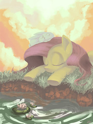 Size: 1200x1600 | Tagged: safe, artist:docwario, angel bunny, fluttershy, pegasus, pony, rabbit, g4, animal, duo, eyes closed, female, lilypad, mare, outdoors, pond, prone, river, sitting on head, sleeping, three quarter view, water