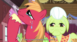 Size: 855x471 | Tagged: safe, edit, edited screencap, screencap, big macintosh, granny smith, earth pony, pony, g4, caption, church, female, male, mare, religion, stallion, text, youtube caption