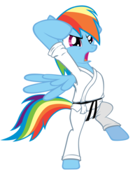 Size: 1584x2088 | Tagged: safe, artist:ls-event, rainbow dash, pegasus, pony, g4, bipedal, clothes, female, karate, mare, simple background, solo, transparent background, uniform