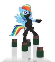 Size: 2880x3198 | Tagged: safe, artist:ls-event, rainbow dash, pegasus, pony, g4, clothes, female, high res, mare, ninja, simple background, solo, transparent background, uniform