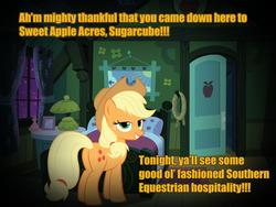 Size: 1065x799 | Tagged: safe, applejack, earth pony, pony, g4, bed, bedroom eyes, butt, female, image macro, mare, meme, pillow, plot, seductive, solo, southern hospitality, text