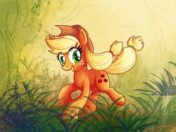 Size: 640x480 | Tagged: safe, artist:don-ko, applejack, earth pony, pony, g4, female, forest, mare, running, solo