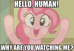 Size: 500x344 | Tagged: safe, pinkie pie, g4, against glass, bronybait, fourth wall, image macro, meme