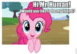 Size: 732x510 | Tagged: safe, pinkie pie, earth pony, pony, g4, female, fourth wall, solo