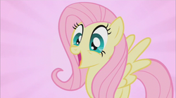 Size: 855x480 | Tagged: safe, screencap, fluttershy, pegasus, pony, g4, may the best pet win, season 2, cute, female, mare, open mouth, shyabetes, smiling, solo