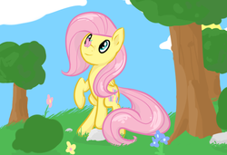 Size: 1211x827 | Tagged: dead source, safe, artist:fribox, fluttershy, butterfly, pegasus, pony, g4, female, mare, solo