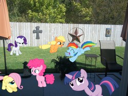 Size: 4000x3000 | Tagged: safe, applejack, fluttershy, pinkie pie, rainbow dash, rarity, twilight sparkle, pony, g4, female, filly, foal, irl, photo, ponies in real life, vector