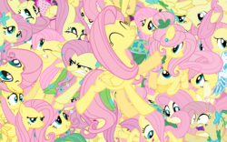 Size: 2560x1600 | Tagged: safe, fluttershy, pegasus, pony, g4, butterscotch, female, mare, multeity, rule 63, so much flutter, so much pony, vector, wallpaper
