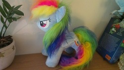 Size: 1600x902 | Tagged: artist needed, safe, rainbow dash, g4, female, irl, photo, plushie