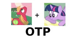 Size: 1024x563 | Tagged: safe, big macintosh, twilight sparkle, earth pony, pony, g4, exploitable meme, female, male, meme, otp, ship:twimac, shipping, simple background, straight, vector, white background