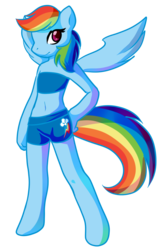 Size: 629x983 | Tagged: safe, artist:mewglethewolf, rainbow dash, pegasus, semi-anthro, g4, arm hooves, belly button, clothes, female, midriff, shorts, simple background, solo, sports bra, sports shorts, spread wings, transparent background