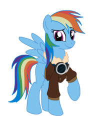 Size: 819x976 | Tagged: safe, artist:wolfsknight, rainbow dash, pegasus, pony, g4, clothes, female, goggles, jacket, mare, simple background, solo, transparent background, vector