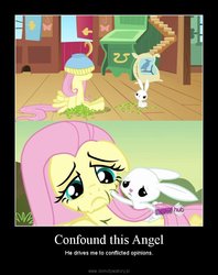 Size: 700x883 | Tagged: safe, edit, edited screencap, screencap, angel bunny, fluttershy, g4, hurricane fluttershy, putting your hoof down, demotivational poster, meme